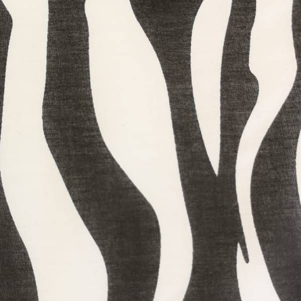 112 - Zebra