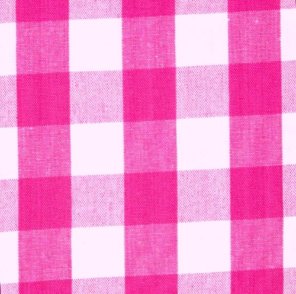 Gingham 1