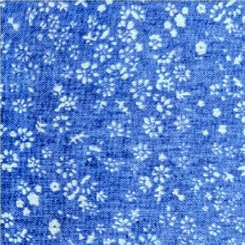 Printed Chambray Fabric - PCC4