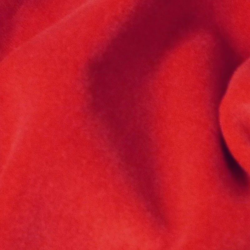 Cotton Velvet Red