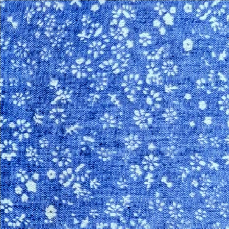 Printed Chambray Fabric - PCC1